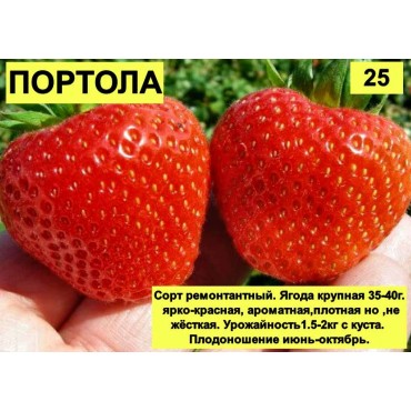 Клубника Портола Рем...